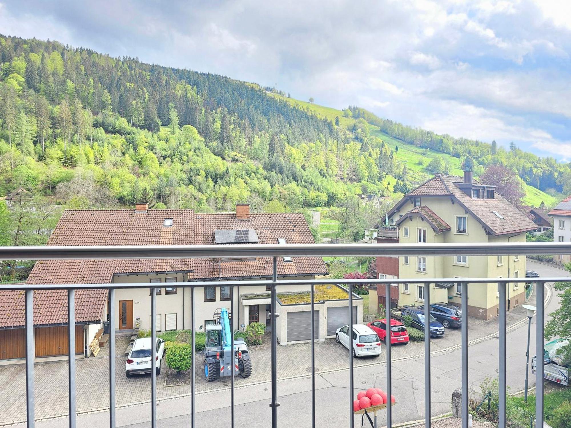 Black Forest I Sauna Auf Dem Balkon I Boxspring I Nespresso I Ausblick I Wasserfaelle Im Ort Todtnau Zewnętrze zdjęcie